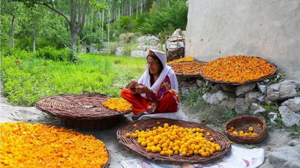 hunza türkleri