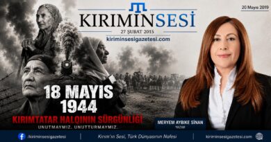Meryem Aybike Sinan
