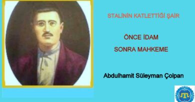 Abdulhamit Süleyman Çolpan