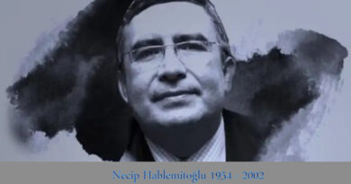 necip haplemitoğlu 1954 - 2002