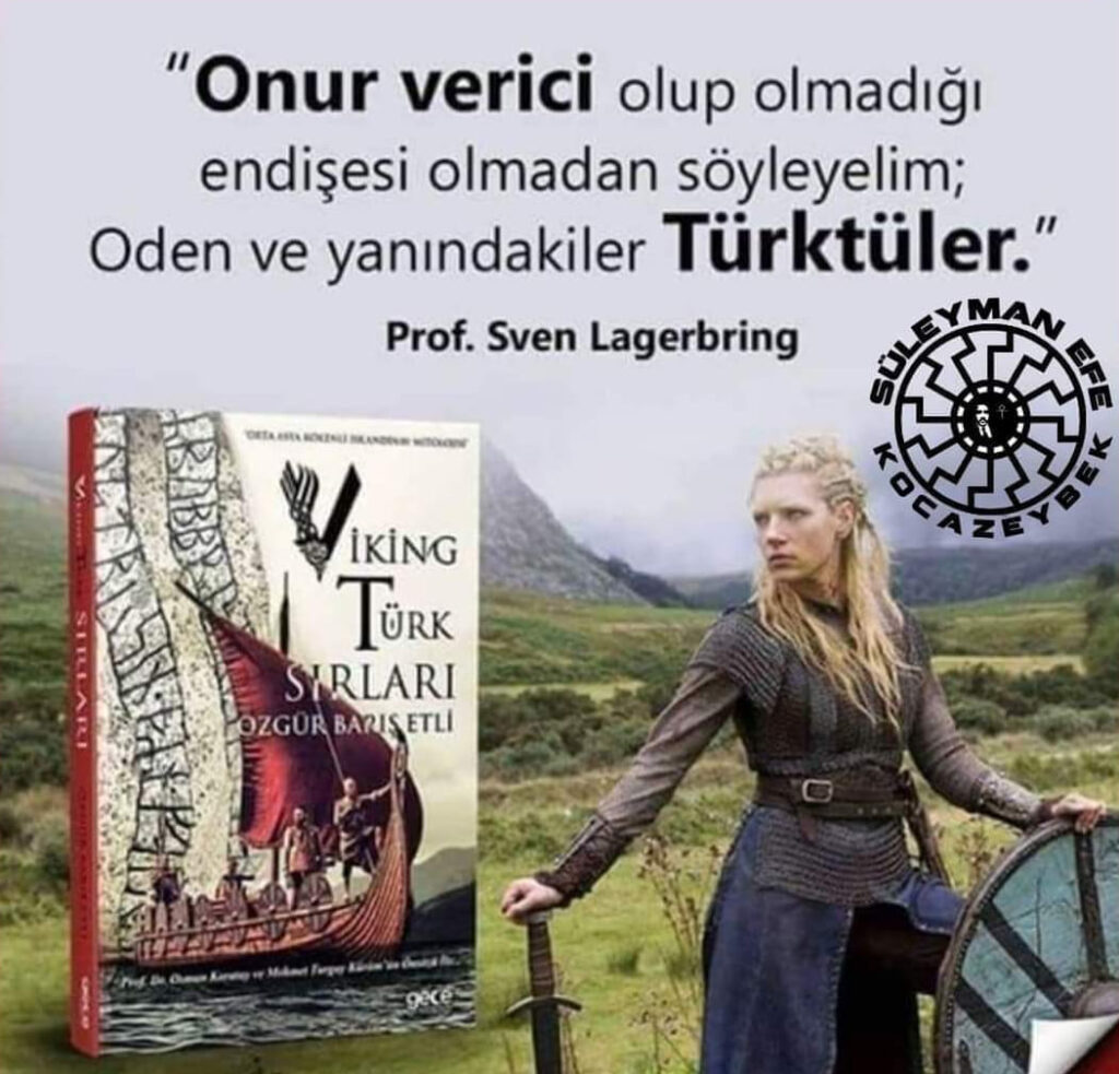 viking türk