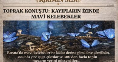Bu biyolojik döngü, Sırp güçlerinin gizlemeye çalıştığı savaş suçlarını ve Srebrenitsa gibi bölgelerdeki insanlık dramını gün yüzüne çıkarmıştır Mavi kelebekler bugün Boşnak halkı için sadece bir böcek türü değil; adaletin, hafızanın ve kayıpların gökyüzündeki simgesidir
