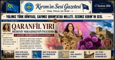 afize kassara karanfil