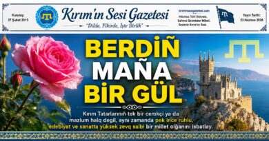 berdin mana bir gül
