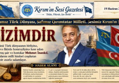 mehmet inankıl