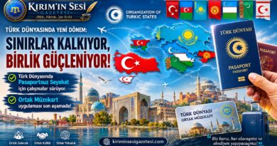 türk dunyası