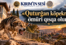 Atalar Sözünün Ardındaki Derin Hikmet: Quturğan Köpekniñ Ömüri Qısqa Olur!