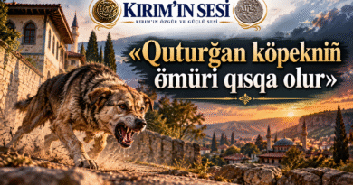 Atalar Sözünün Ardındaki Derin Hikmet: Quturğan Köpekniñ Ömüri Qısqa Olur!