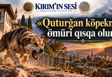 Atalar Sözünün Ardındaki Derin Hikmet: Quturğan Köpekniñ Ömüri Qısqa Olur!