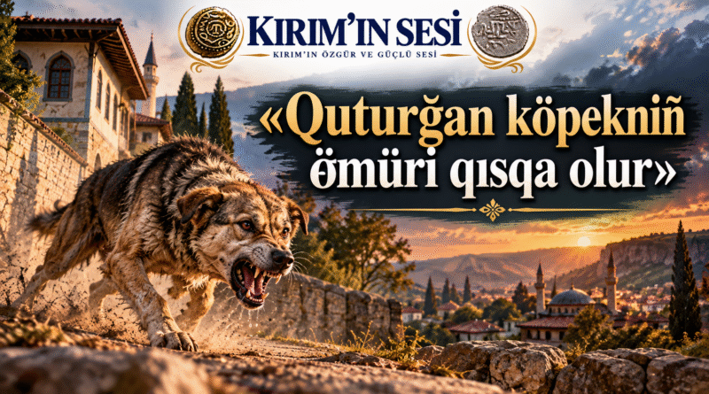 Atalar Sözünün Ardındaki Derin Hikmet: Quturğan Köpekniñ Ömüri Qısqa Olur!