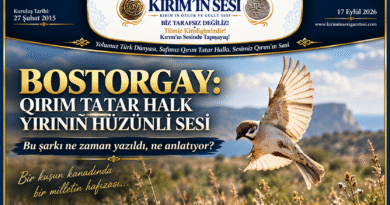 bos torgay