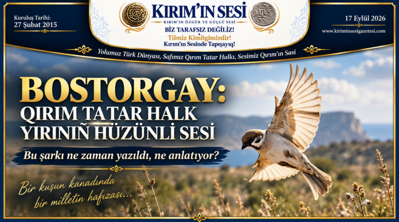 bos torgay