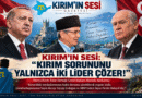 recep tayyip erdoğan - devlet bahçeli
