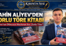 şahin aliyev - zorlu töre