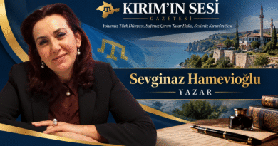 Sevginaz Hamevioğlu