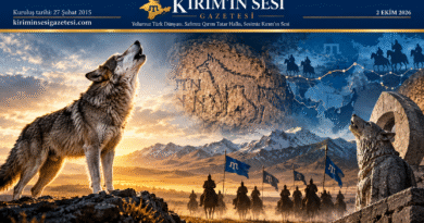 bozkurt