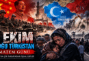 doğu türkistan
